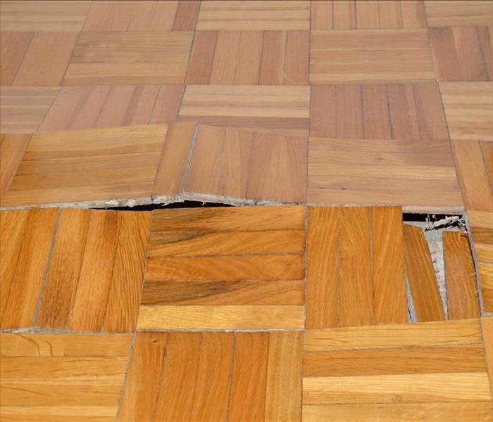 Bloated wood floor